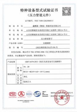 特种设备型式试验证书